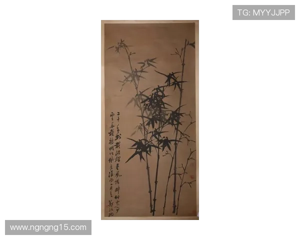 北京电视台财经频道直播：实时掌握市场动态